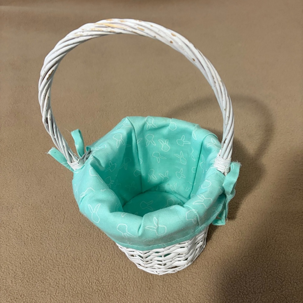 White Wicker Basket with Teal Lining